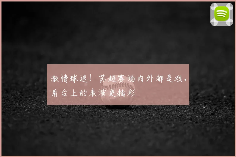 激情球迷！苏超赛场内外都是戏，看台上的表演更精彩